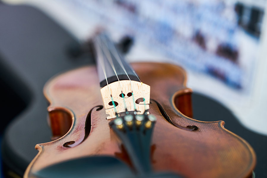 string instrument photo